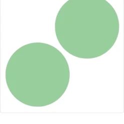 Eucalyptus Gunnii - Gomboom - Heester - Groenblijvend - ⌀17 Cm - 40-50 Cm -Goedkope Groene Liefde Winkel 1016x1200