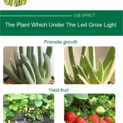 Ortho® - Groeilamp Paneel - Bloeilamp Paneel - Kweeklamp Grow Light Panel - LED -Goedkope Groene Liefde Winkel 1039x1200