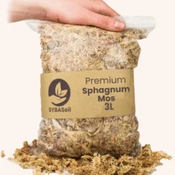 SYBASoil Sphagnum Mos 3L - 5-15cm - Hydrocultuur Groeimedium - Lokaal Geoogst -Goedkope Groene Liefde Winkel 1048x1200 1
