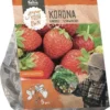 Merkloos Aardbei Korona - 10 Planten -Goedkope Groene Liefde Winkel 1054x1200 1