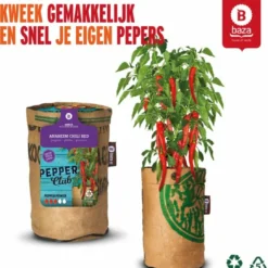 Baza Stadstuin Hete Peper Kweek Pakket 14 Baza Stadstuin Hete Peper Kweek Pakket -Goedkope Groene Liefde Winkel 1090x1200 1