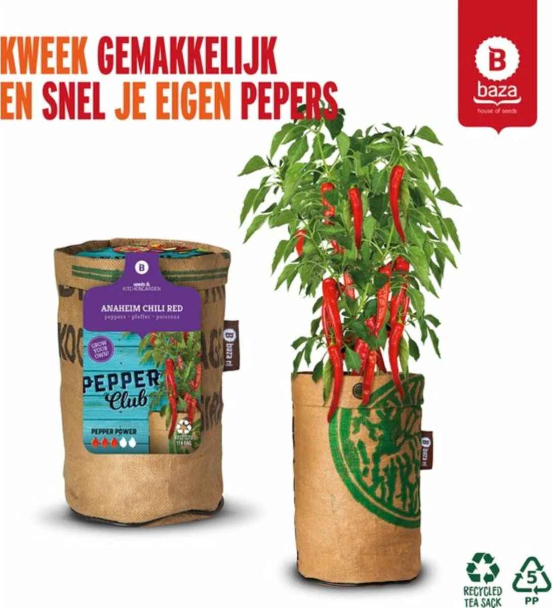 Baza Stadstuin Hete Peper Kweek Pakket 8 Baza Stadstuin Hete Peper Kweek Pakket - Afbeelding 6