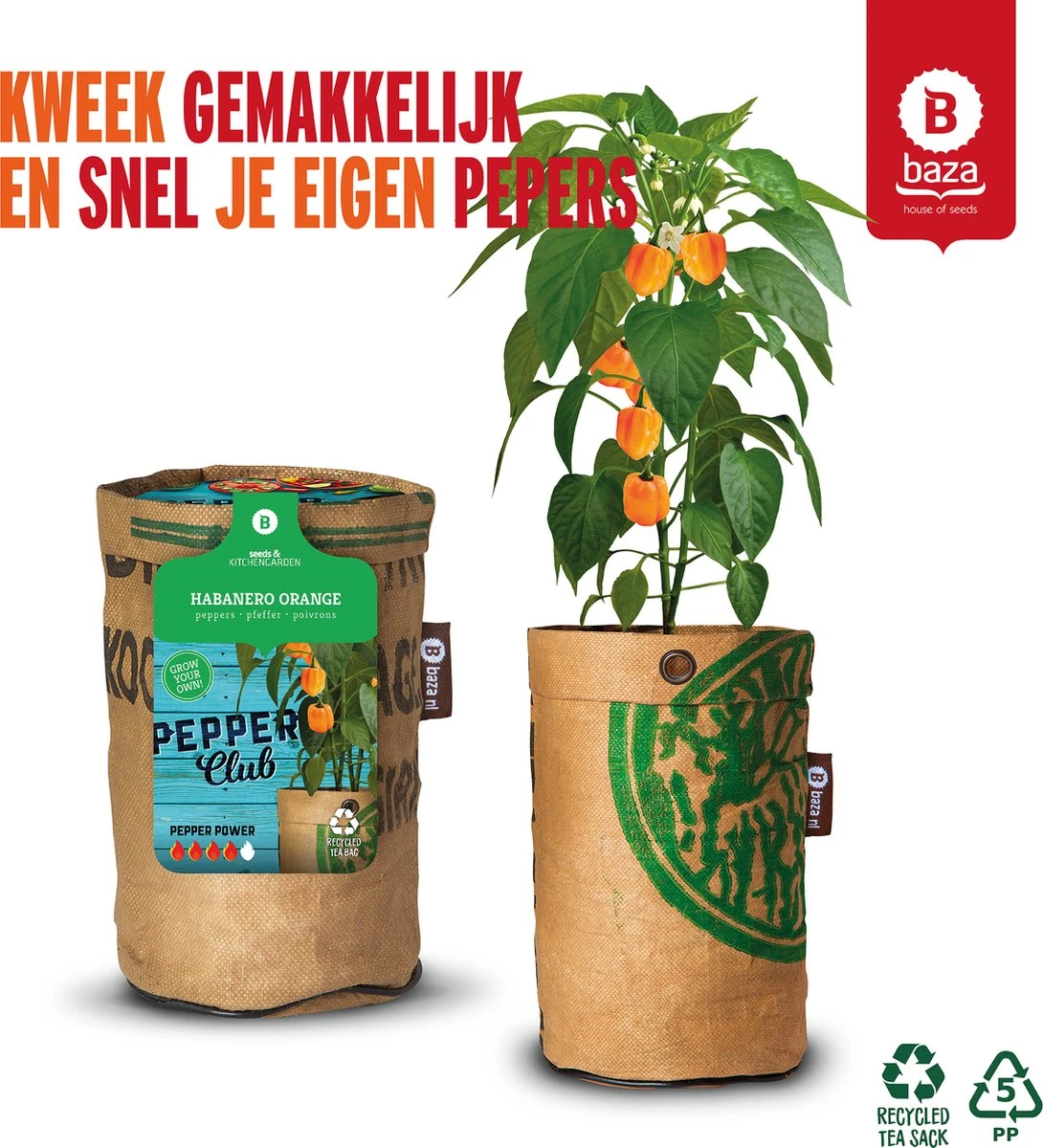 Baza Stadstuin Hete Peper Kweek Pakket 6 Baza Stadstuin Hete Peper Kweek Pakket - Afbeelding 4