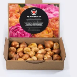 25 Tulpenbollen Chic Mix - Bloembollen Mix - Tulpen Mix - Bollen - Bulbs - Tulip - Flowerbulbs - Flowers - Tuin Tulpen - Bloemen 11 25 Tulpenbollen Chic Mix - Bloembollen Mix - Tulpen Mix - Bollen - Bulbs - Tulip - Flowerbulbs - Flowers - Tuin Tulpen - Bloemen -Goedkope Groene Liefde Winkel 1092x1200 1