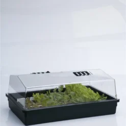 Grote Kweekbak/kweekkastje Met Deksel 24 X 59 X 39 Cm - Propagator/moestuinbak -Goedkope Groene Liefde Winkel 1101x1200 1