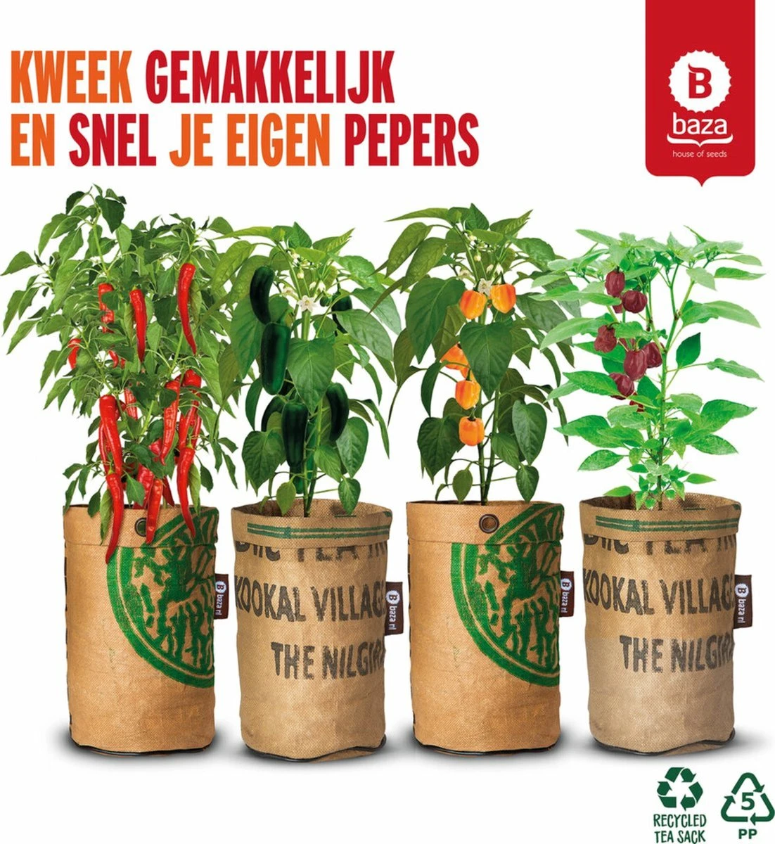 Baza Stadstuin Hete Peper Kweek Pakket 3 Baza Stadstuin Hete Peper Kweek Pakket