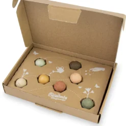 Blossombs Giftbox Small - 7 Blossombs - Bloembommetjes - Zaadbommetjes - Vlinders - Bijen - Biologisch - Ecologisch - Verjaardag - Communie - Doopsuiker - Valentijn -Goedkope Groene Liefde Winkel 1116x1200 3
