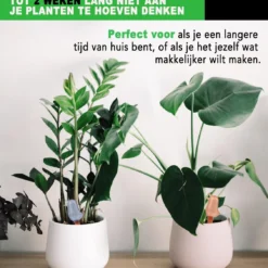 Waterdruppelaar Voor Planten 2 Stuks - Waterbol Kamerplanten - Automatisch Watergeefsysteem - Vogel - Roze -Goedkope Groene Liefde Winkel 1128x1200 2