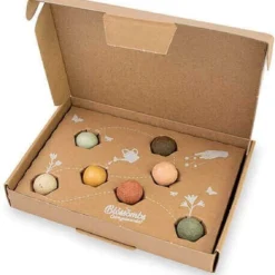 Blossombs Giftbox Small - 7 Blossombs - Bloembommetjes - Zaadbommetjes - Vlinders - Bijen - Biologisch - Ecologisch - Verjaardag - Communie - Doopsuiker - Valentijn -Goedkope Groene Liefde Winkel 1133x1200