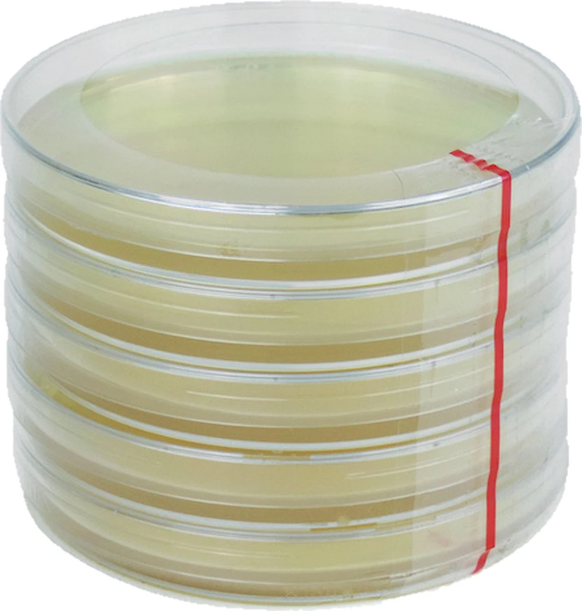 ToshiFarm Petrischaal - 5 Stuks - Petrischalen Met Agar - Steriele Petrischaal Met Agar - Steriele Agar Plaatjes 3 ToshiFarm Petrischaal - 5 Stuks - Petrischalen Met Agar - Steriele Petrischaal Met Agar - Steriele Agar Plaatjes