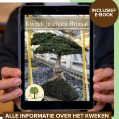 B-seed Starters Kit Incl. E-Book Bonsai Zaden Kweken - Boompje In Pot - Kamerplanten - Kweekset - Geschenkset - Kerstcadeau -Goedkope Groene Liefde Winkel 1151x1200 3