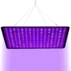 A Sunny Day LED Groeilamp - Grow Light - Kweeklamp - Versnelt Groei En Ontwikkeling - Groeilamp Rood Blauw - 45 Watt - 30 X 30 Cm - 225 LEDs -Goedkope Groene Liefde Winkel 1163x1200