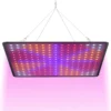A Sunny Day LED Groeilamp - Kweeklamp - Full Spectrum - Groei & Bloei - Grow Light - Groeilamp Full Spectrum - 45 Watt - 30 X 30 Cm - 225 LEDs 2 A Sunny Day LED Groeilamp - Kweeklamp - Full Spectrum - Groei & Bloei - Grow Light - Groeilamp Full Spectrum - 45 Watt - 30 X 30 Cm - 225 LEDs -Goedkope Groene Liefde Winkel 1175x1200 2