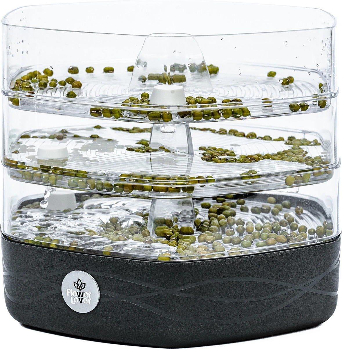 Mungo Antraciet - Kiemtoren Voor Zaden En Granen - Kiempot - Kiemzaden - Kiemschaaltje 9 Mungo Antraciet - Kiemtoren Voor Zaden En Granen - Kiempot - Kiemzaden - Kiemschaaltje - Afbeelding 7