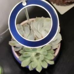 A Sunny Day Kweeklamp LED Ring Wit Licht - 3 Ringen - Groeilamp Voor Planten - Zonlicht Lamp - Grow Light -Goedkope Groene Liefde Winkel 1193x1200