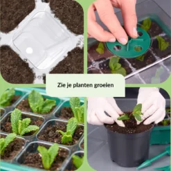 3 Pack LeafImpact Kweekbak - Complete Kweekset - Kweektafel - Verstelbare Ventilatie - Kweekbakken Moestuin -Goedkope Groene Liefde Winkel 1194x1200 1