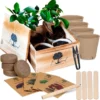 B-seed Starters Kit Incl. E-Book Bonsai Zaden Kweken - Boompje In Pot - Kamerplanten - Kweekset - Geschenkset - Kerstcadeau -Goedkope Groene Liefde Winkel 1197x1200 9
