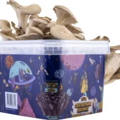 Oesterzwam Growkit - Zelf Paddestoelen Kweken Op Koffiedik - Paddenstoelen Kweekset -Goedkope Groene Liefde Winkel 1200x1032 1