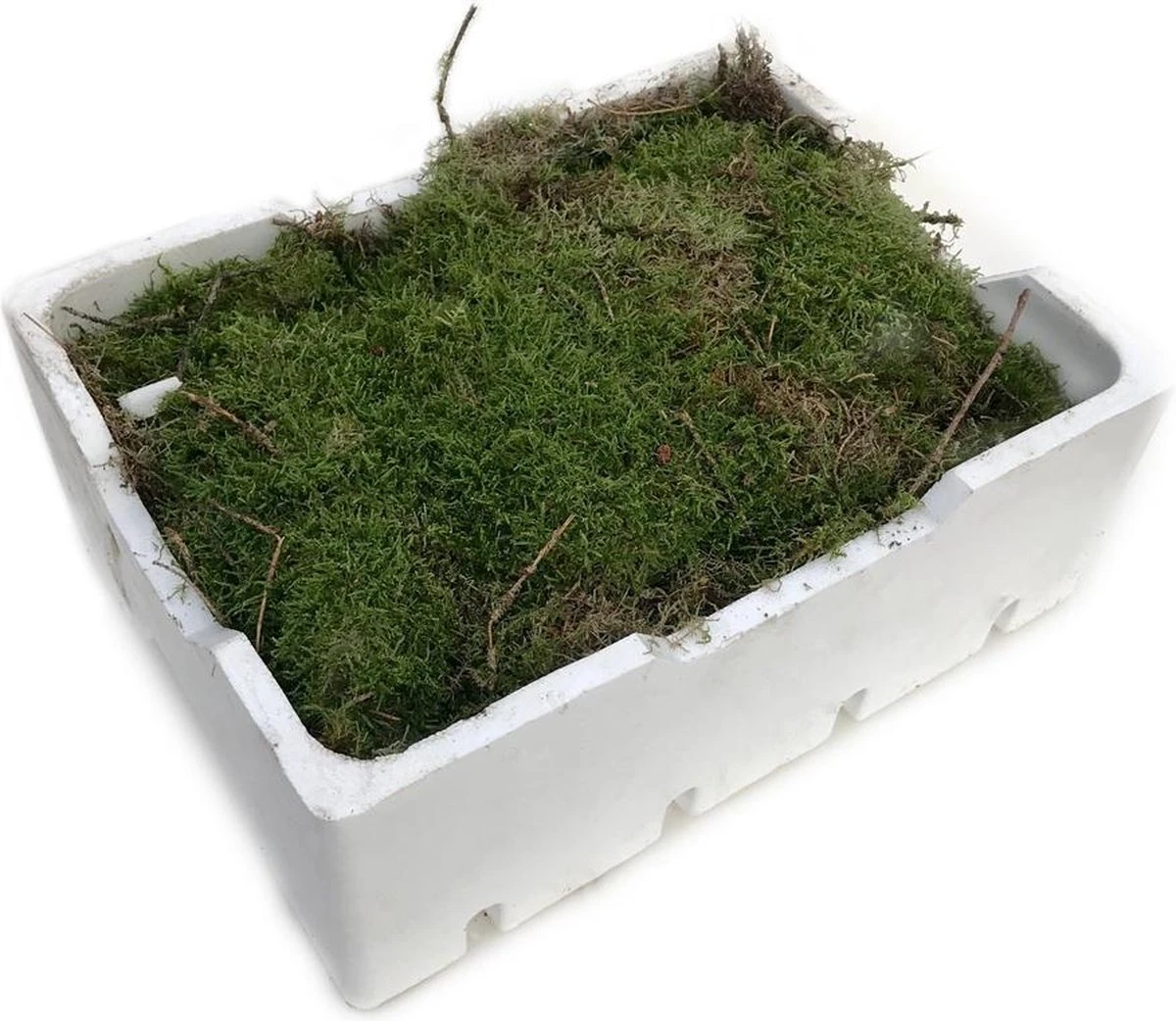 Merkloos 4 Lagen Vers Mos (Platmos) - Leuk Voor Decoratie - In Kist (40x30cm) 3 Merkloos 4 Lagen Vers Mos (Platmos) - Leuk Voor Decoratie - In Kist (40x30cm)