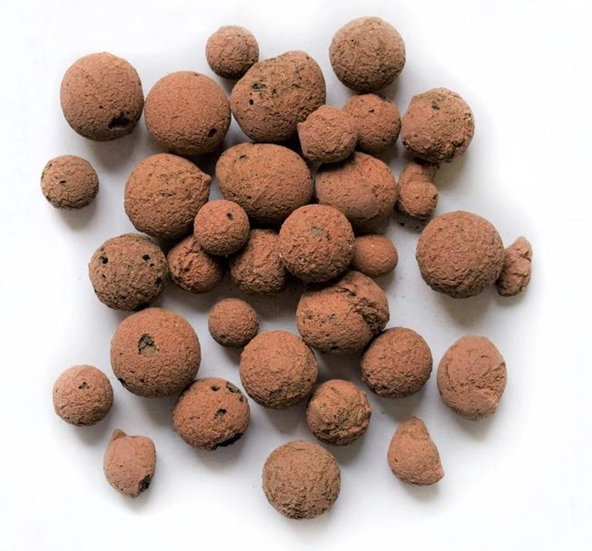 Pokon Hydrokorrels - 5l - Kleikorrels - Goed Voor Drainage 6 Pokon Hydrokorrels - 5l - Kleikorrels - Goed Voor Drainage - Afbeelding 4