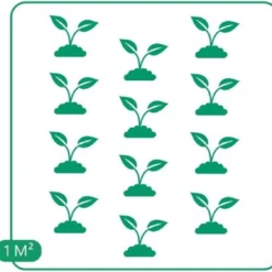 GP 12 X Kruipend Tijm / Kruiptijm - Winterharde Tuinplanten - Thymus Praecox 'Purple Beauty' In 9x9cm Pot Met Hoogte 5-10cm 17 GP 12 X Kruipend Tijm / Kruiptijm - Winterharde Tuinplanten - Thymus Praecox 'Purple Beauty' In 9x9cm Pot Met Hoogte 5-10cm -Goedkope Groene Liefde Winkel 1200x1124 1