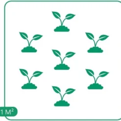 GP 12 X Japans Bloedgras - Siergras - Tuinplanten Winterhard - Vaste Planten - Imperata Red Baron - In 9x9cm Pot Met Hoogte 5-10cm -Goedkope Groene Liefde Winkel 1200x1131 1