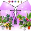 Kweeklamp Indoor - Full Spectrum Licht - Automatische Timer 3, 9 En 12 Uur - 4-Koppig - Groeilamp - Groei Van Planten - 80 LEDs - 40W -Goedkope Groene Liefde Winkel 1200x1131