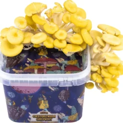 ToshiFarm Triple Kweekbundel - 3x Oesterzwam Growkit - 3x Oesterzwamsporen (Grijs, Geel En Roze) -Goedkope Groene Liefde Winkel 1200x1132