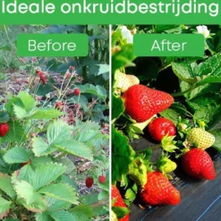 YUGN 21 M2 Anti Worteldoek Duurzaam Gronddoek En Bodembedekker 4.2 Bij 5 Meter - Ideale Onkruidbestrijding - Tevens Wortelbegrenzer En Tuinbestrating En Grondzeil - 4.2x5 Meter - Cadeau Tip 22 YUGN 21 M2 Anti Worteldoek Duurzaam Gronddoek En Bodembedekker 4.2 Bij 5 Meter - Ideale Onkruidbestrijding - Tevens Wortelbegrenzer En Tuinbestrating En Grondzeil - 4.2x5 Meter - Cadeau Tip -Goedkope Groene Liefde Winkel 1200x1142 3