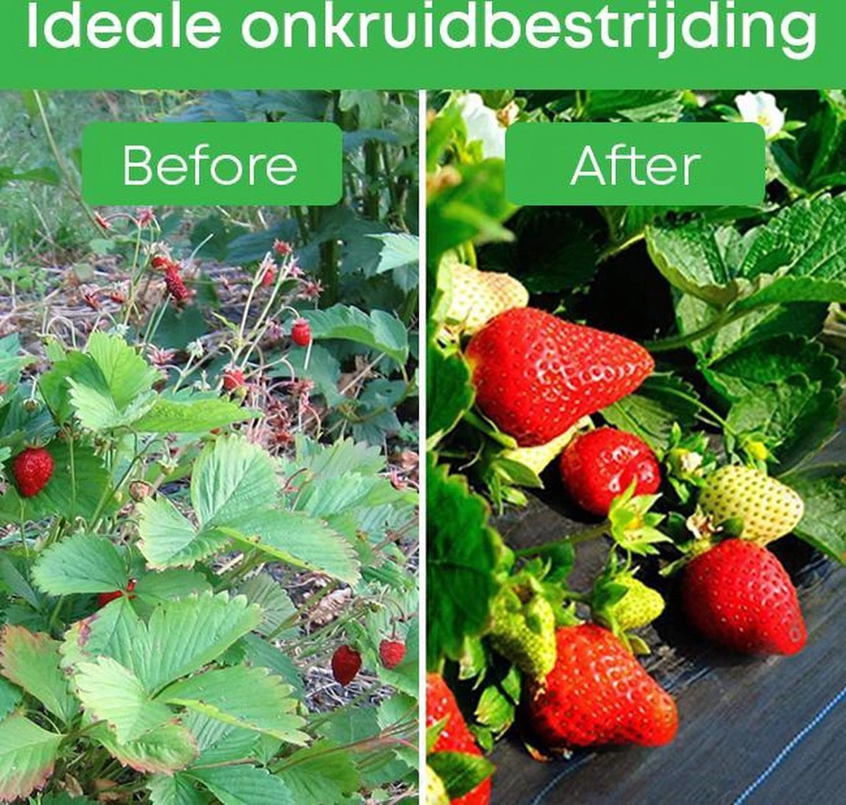 YUGN 21 M2 Anti Worteldoek Duurzaam Gronddoek En Bodembedekker 4.2 Bij 5 Meter - Ideale Onkruidbestrijding - Tevens Wortelbegrenzer En Tuinbestrating En Grondzeil - 4.2x5 Meter - Cadeau Tip 12 YUGN 21 M2 Anti Worteldoek Duurzaam Gronddoek En Bodembedekker 4.2 Bij 5 Meter - Ideale Onkruidbestrijding - Tevens Wortelbegrenzer En Tuinbestrating En Grondzeil - 4.2x5 Meter - Cadeau Tip - Afbeelding 10