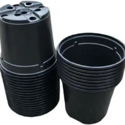 Kweekpot Zwart – Ø10,5cm, Hoogte 9cm (25 Stuks)