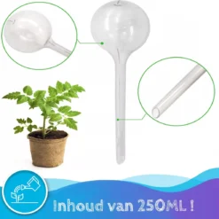 Summer Spark Waterdruppelaar Voor Planten 6 Stuks Transparant – 27 CM X 8 CM – 250 ML – Automatisch Watergeefsysteem Voor Kamerplanten – Planten Watergever Met Druppelsysteem – Waterbol -Goedkope Groene Liefde Winkel 1200x1153 4
