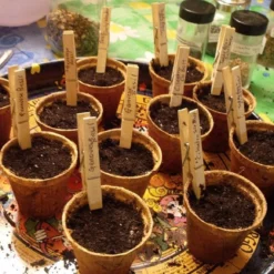 Talen Tools - Turfpotjes/stekpotjes/Moestuinpotjes - Rond 6 Cm - Biologisch Afbreekbaar- 96 Stuks -Goedkope Groene Liefde Winkel 1200x1160 1