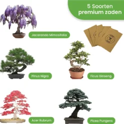 Qubis Bonsai Starters Kit - 23 Delige Kweekset - 5 Soorten Premium Zaden - DIY Pakket - Binnen Bonsai Boompje Kweken - Incl. Rouwvliegjes Vanger -Goedkope Groene Liefde Winkel 1200x1163