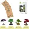 B-seed Zaden Set Incl. E-Book Bonsai Zaden Kweken - Boompje In Pot - Kamerplanten - Kweekset – Cadeau Man & Vrouw - Geschenkset 2 B-seed Zaden Set Incl. E-Book Bonsai Zaden Kweken - Boompje In Pot - Kamerplanten - Kweekset – Cadeau Man & Vrouw - Geschenkset -Goedkope Groene Liefde Winkel 1200x1172 2