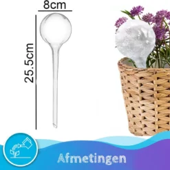Summer Spark Waterdruppelaar Voor Planten 6 Stuks Transparant – 27 CM X 8 CM – 250 ML – Automatisch Watergeefsysteem Voor Kamerplanten – Planten Watergever Met Druppelsysteem – Waterbol -Goedkope Groene Liefde Winkel 1200x1175 2