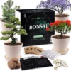 Bonsai Starters Kit - Bonsai Boompje - 5 Delige Set - 4 Soorten Zaden - Incl. E-book & Schaartje -Goedkope Groene Liefde Winkel 1200x1178 5