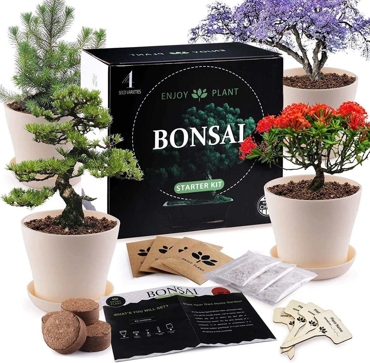 Bonsai Starters Kit - Bonsai Boompje - 5 Delige Set - 4 Soorten Zaden - Incl. E-book & Schaartje 3 Bonsai Starters Kit - Bonsai Boompje - 5 Delige Set - 4 Soorten Zaden - Incl. E-book & Schaartje