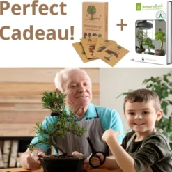 B-seed Zaden Set Incl. E-Book Bonsai Zaden Kweken - Boompje In Pot - Kamerplanten - Kweekset – Cadeau Man & Vrouw - Geschenkset -Goedkope Groene Liefde Winkel 1200x1183 3