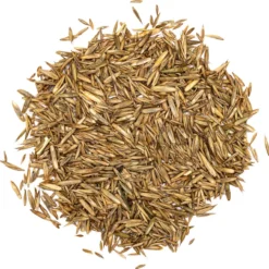 Snelkiemend Power Graszaad Voor 100m² Gras | Hoge Kwaliteit Gras Voor Een Snel Groeiend Meerjarig Gazon 13 Snelkiemend Power Graszaad Voor 100m² Gras | Hoge Kwaliteit Gras Voor Een Snel Groeiend Meerjarig Gazon -Goedkope Groene Liefde Winkel 1200x1190 15