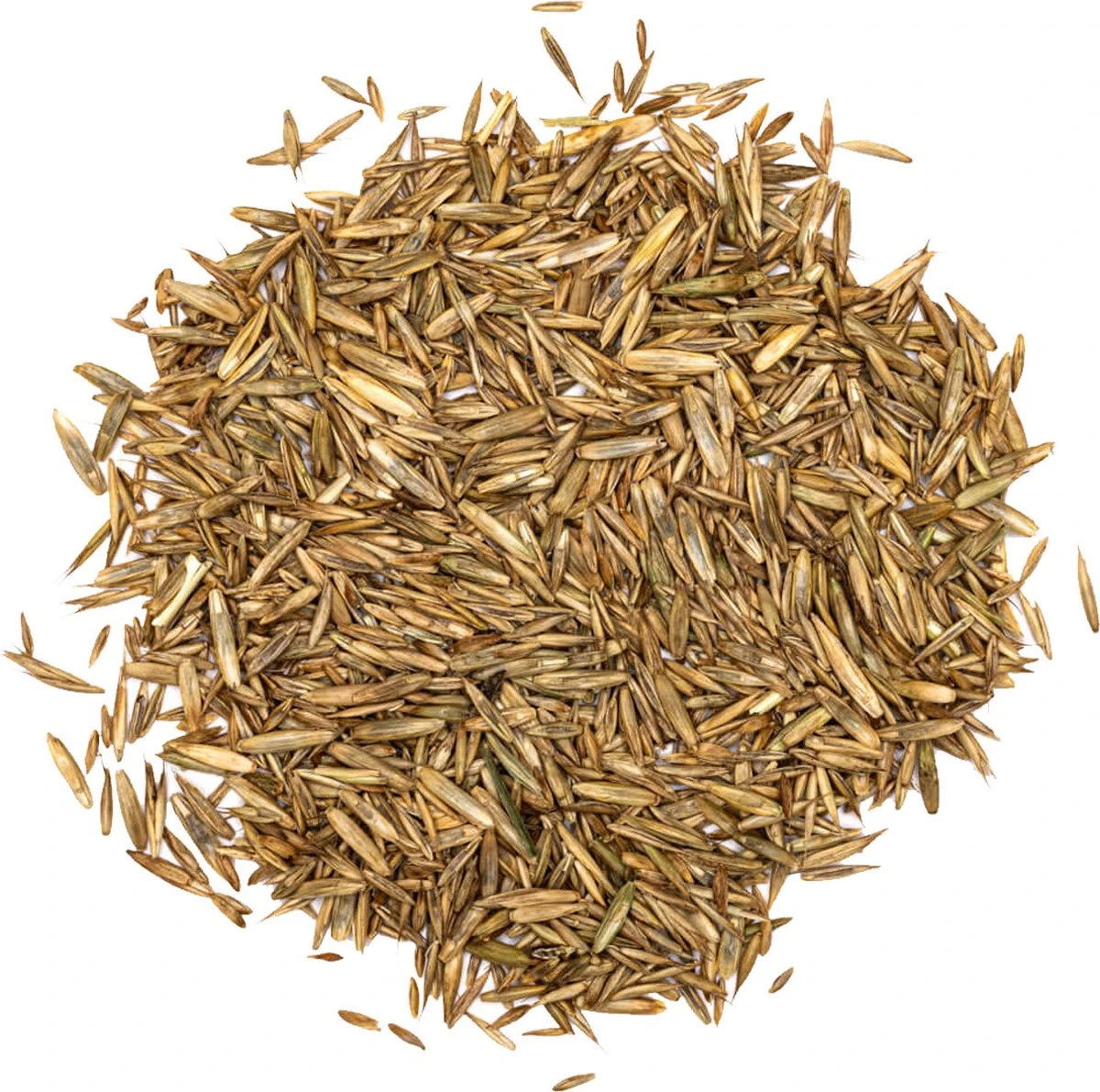 Speel En Sport Graszaad Voor 100m² Gras | Bestendig Tegen Intensief Gebruik | Gazon Voor Sporten & Spelen 10 Speel En Sport Graszaad Voor 100m² Gras | Bestendig Tegen Intensief Gebruik | Gazon Voor Sporten & Spelen - Afbeelding 8