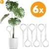 Waterdruppelaar Set Van 6 Stuks Voor Planten Transparant – 27 CM – Automatisch Watergeefsysteem Voor Kamerplanten – Planten Watergever Met Druppelsysteem – Waterbol 2 Waterdruppelaar Set Van 6 Stuks Voor Planten Transparant – 27 CM – Automatisch Watergeefsysteem Voor Kamerplanten – Planten Watergever Met Druppelsysteem – Waterbol -Goedkope Groene Liefde Winkel 1200x1197 3