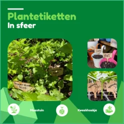 Tomassio® Plantenlabels - 100% Natuurlijk Bamboe - 20 Stuks Met Watervaste Stift - Eco Vriendelijk - Moestuin - Steeketiketten - Moestuin Bordjes - Plantlabel - Plantlabel Met Watervaste Zwarte Fineliner - Plantensteker - Plantenlabels Buiten -Goedkope Groene Liefde Winkel 1200x1198 14