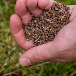 ECOstyle Gazon 4-in-1 Totaalpakket Met Kalk, Mest, Graszaad & Grond In Een Doos - Geeft Kale Plekken In Gras Egaal Herstel - 5- 10 Kale Plekken - 1 KG -Goedkope Groene Liefde Winkel 1200x1199 2