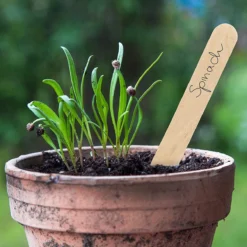 Houten Tekens Om Op Te Schrijven Houten Plantenstekers In Set Met 60x Plantenstekers -Goedkope Groene Liefde Winkel 1200x1199