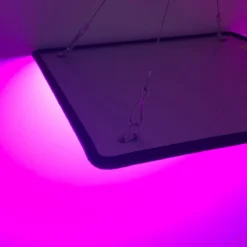 A Sunny Day LED Groeilamp - Grow Light - Kweeklamp - Versnelt Groei En Ontwikkeling - Groeilamp Rood Blauw - 45 Watt - 30 X 30 Cm - 225 LEDs -Goedkope Groene Liefde Winkel 1200x1200 140