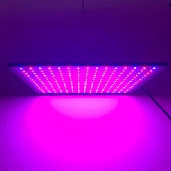 A Sunny Day LED Groeilamp - Grow Light - Kweeklamp - Versnelt Groei En Ontwikkeling - Groeilamp Rood Blauw - 45 Watt - 30 X 30 Cm - 225 LEDs -Goedkope Groene Liefde Winkel 1200x1200 141