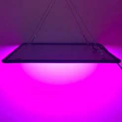 A Sunny Day LED Groeilamp - Grow Light - Kweeklamp - Versnelt Groei En Ontwikkeling - Groeilamp Rood Blauw - 45 Watt - 30 X 30 Cm - 225 LEDs -Goedkope Groene Liefde Winkel 1200x1200 142