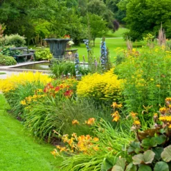 Moorland Gardur - Anti Onkruiddoek Tuin 2m X 5m (20m²) Zwart - Antiworteldoek UV-licht Bestendig, Waterdoorlatend Voor Tuin, Terras & Bloembed -Goedkope Groene Liefde Winkel 1200x1200 160