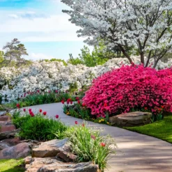 Moorland Gardur - Anti Onkruiddoek Tuin 2m X 5m (20m²) Zwart - Antiworteldoek UV-licht Bestendig, Waterdoorlatend Voor Tuin, Terras & Bloembed -Goedkope Groene Liefde Winkel 1200x1200 161